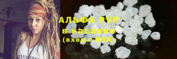 spice Верея