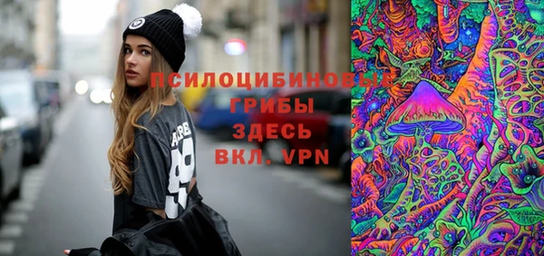 spice Верея